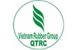 Công ty TNHH MTV cao su Quảng Trị: Năm 2012 khai thác và chế biến được hơn 3.500 tấn mủ khô 